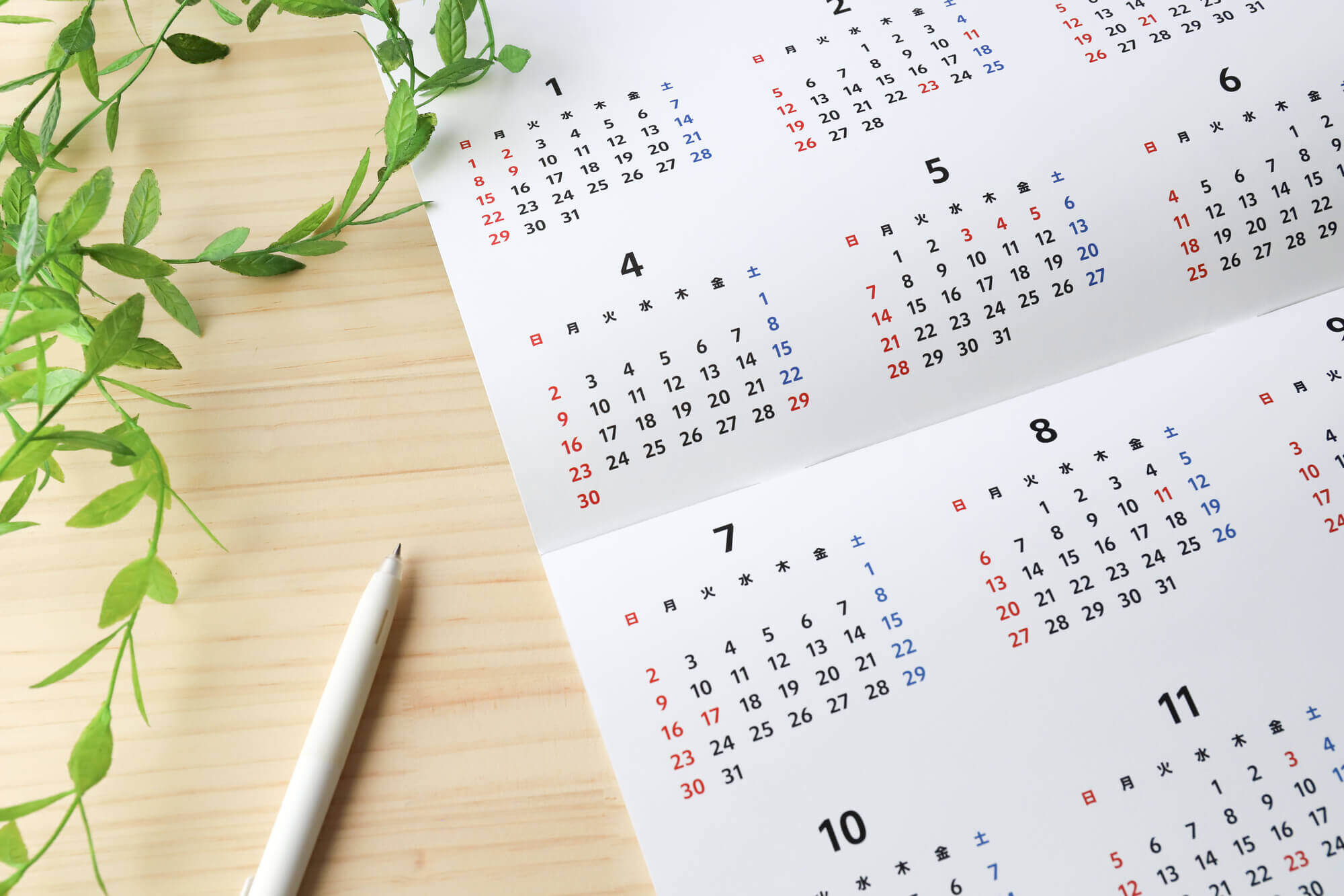 分骨できるタイミング