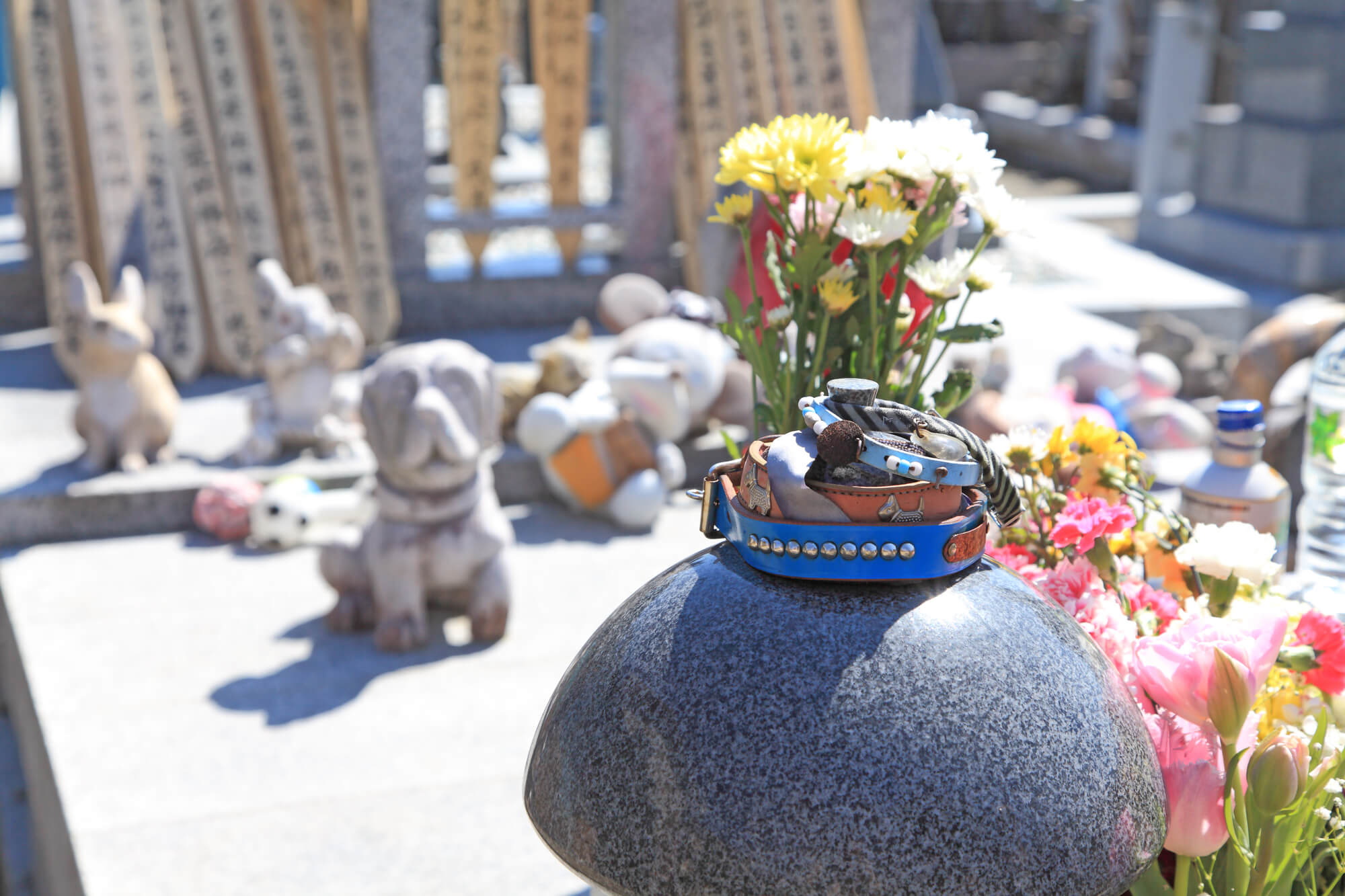 ペットと人が一緒に眠れるお墓という選択肢